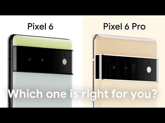 Pixel 6 versus Pixel 6 Pro: Which Phone is Right for You?
