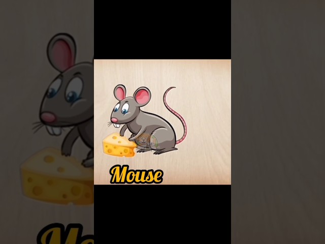 Guess the animal quiz | Animal puzzle guess game #animal #shorts #mouse