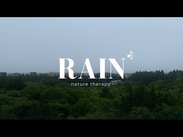 Fall asleep immediately with soft rain and birds singing, healing your inner soul