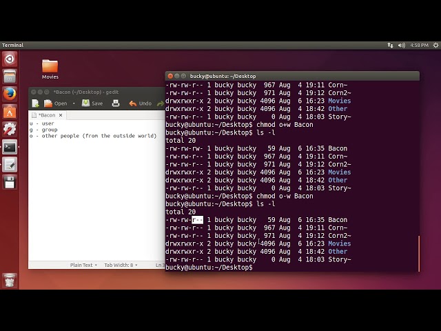 Linux Tutorial for Beginners   8   File Permissions