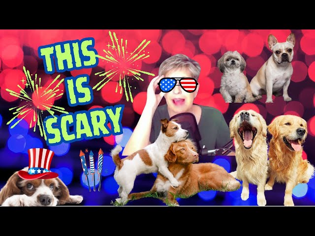 WARNING: PROTECT Your Dog from THIS on July 4 #fireworksanddogstips