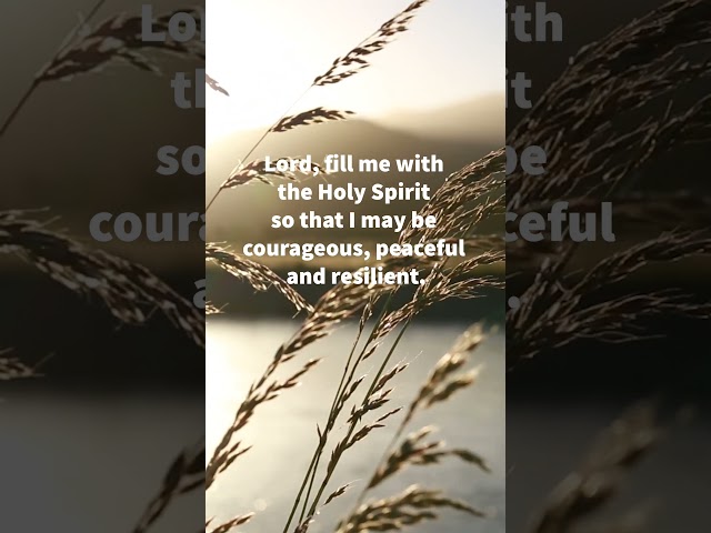 Powerful #Prayer for Wisdom Strength Clarity Seek God Guidance #shorts  #holyspirit #morningprayer