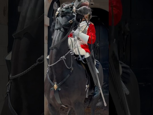 HORSE GETS SPOOKED SUDDENLY ⚡️🐎⚠️ | Horse Guards, Royal guard, Kings Guard, Horse, London, 2024