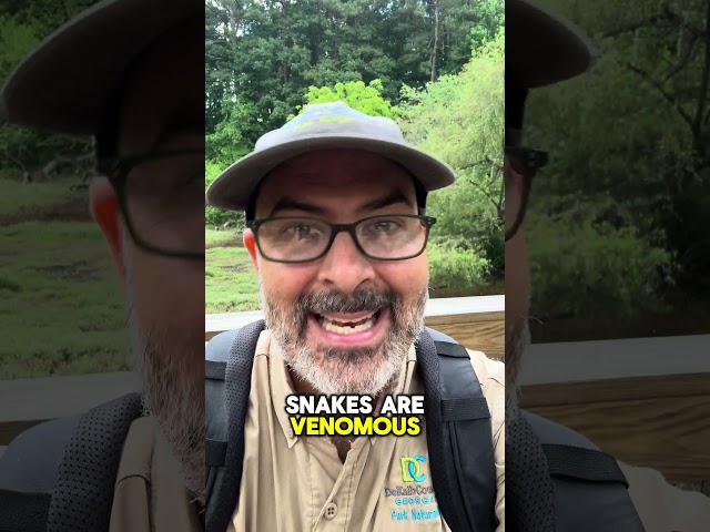 What’s the difference between venomous and poisonous? #watersnake #copperhead