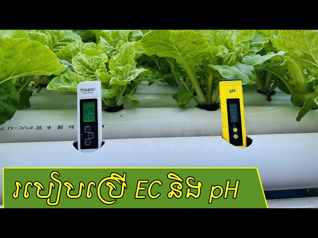 EP228 | hydroponic farming in Cambodia, How to use EC and pH meter