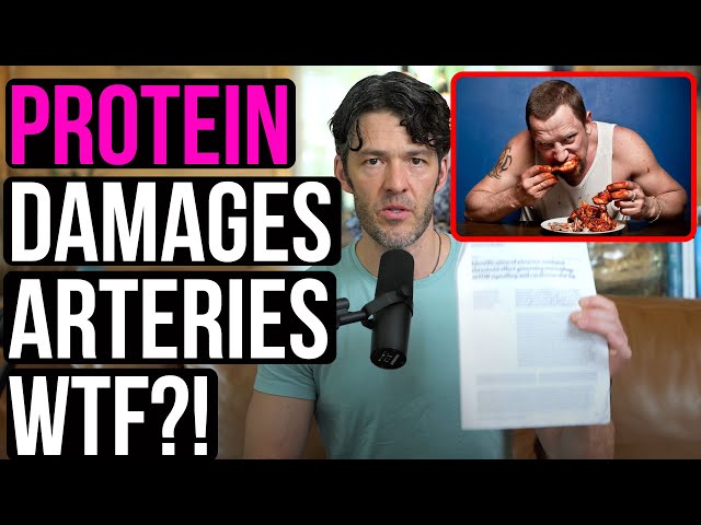 Media Claims 'Protein Damages Your Arteries' | Study Breakdown