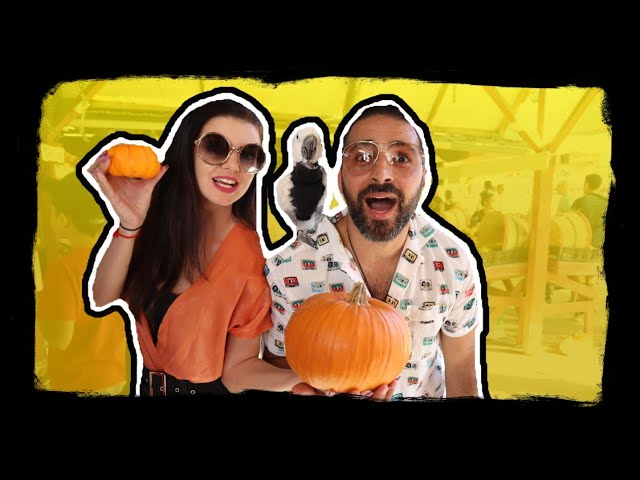 I TOOK MY PARROT TO A PUMPKIN PATCH!!