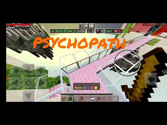 Minecraft bedwars Normal people vs Psychopaths