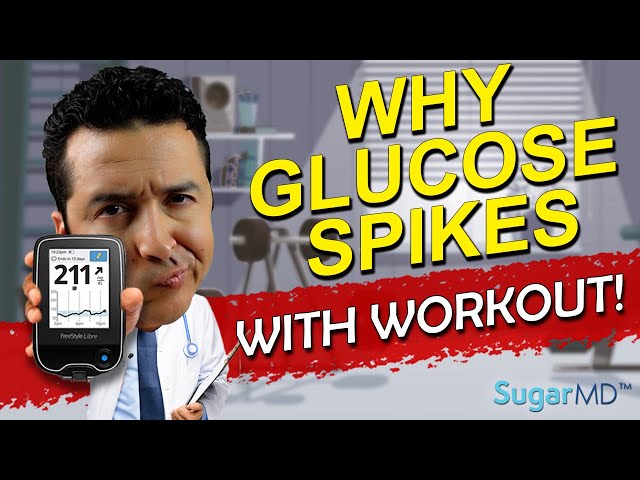 Why Does Glucose Rise With Exercise? Did You Know?