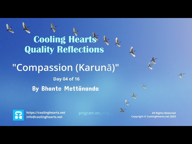 "Cooling Hearts" Quality Reflection - Compassion (Karunā) - Day 04 of 16