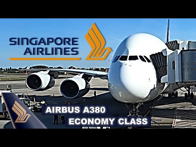 SINGAPORE AIRLINES A380 Economy Class【4K Trip Report SYD-SIN】World's Best Airline?