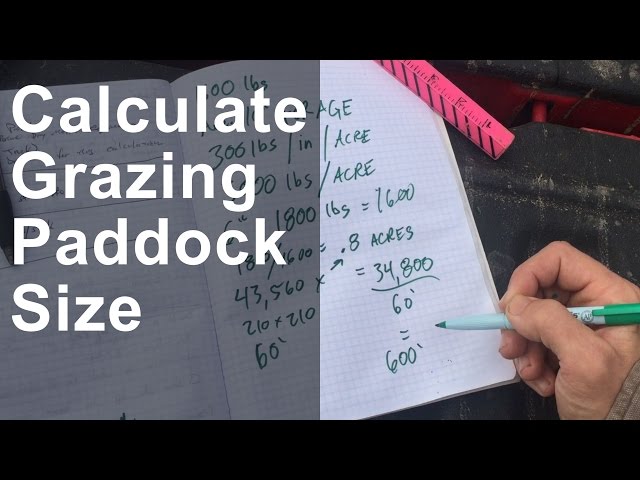 Calculating Grazing Paddock Size