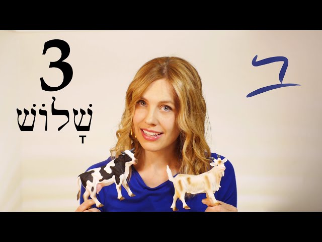 Hebrew - Conjunction & Gender - Free Biblical Hebrew - Lesson 3