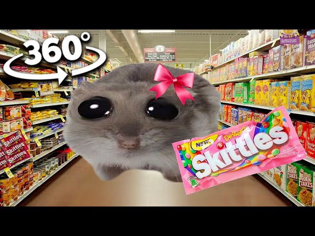 360º VR Skittles meme Sad Girl Hamster