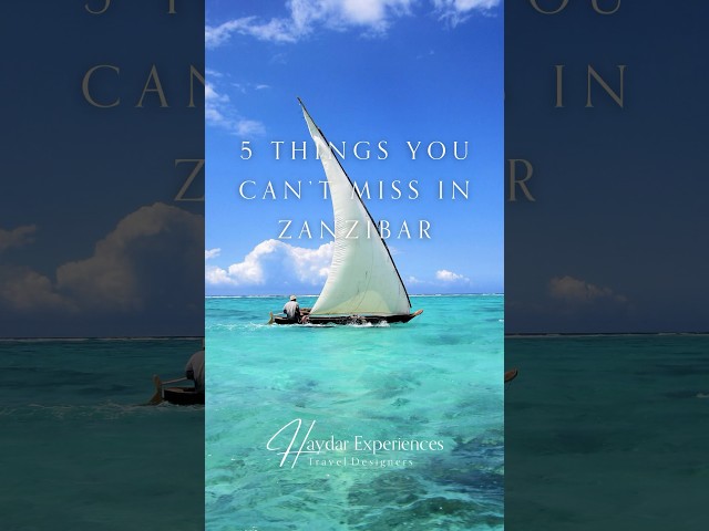 5 Things To Do In Zanzibar #travel #zanzibarbeach #beachholiday #travelafrica #safariadventure #sea