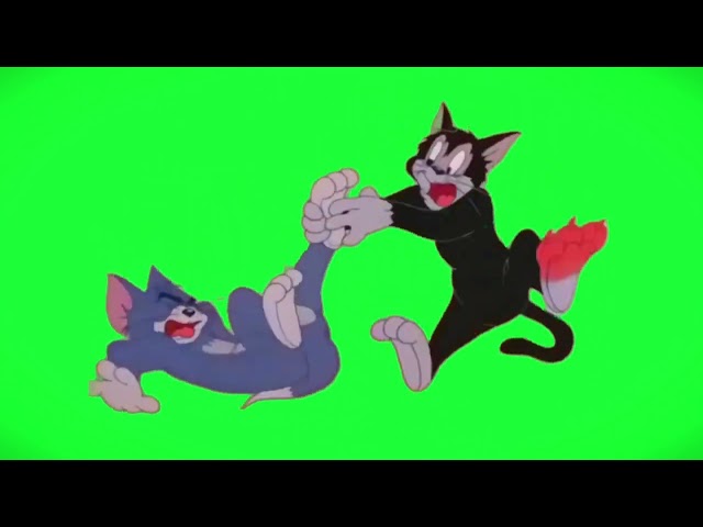 Funny Tom and Jerry || No Copyright Stock Video