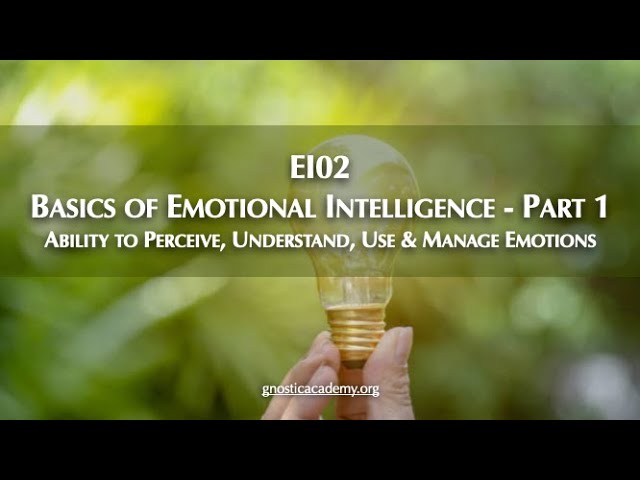 EI02 - Basics of Emotional Intelligence - Part 1