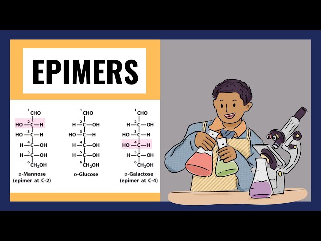 Epimers || Epimers of glucose
