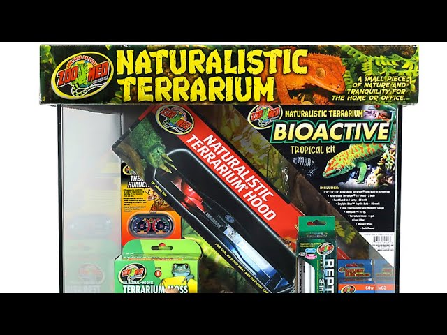 Naturalistic Terrarium Bioactive Kit Setup! Super easy and done in less then 10 steps! 18x18x18