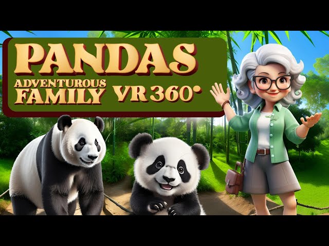 Pandas - Learn about them in VR 360º