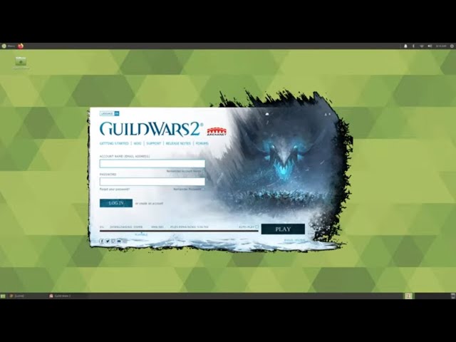 How To Run Guild Wars 2 On Linux | Install.sh S1:Ep4