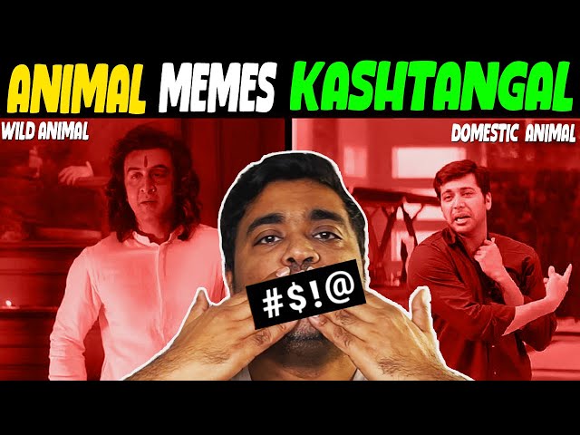 Animal memes kashtangal | Kichdy