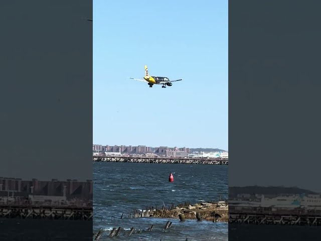 Jetblue Boston Bruins livery landing at JFK