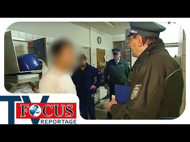 Illegale Schwarzarbeit - Unterwegs mit den Fahndern vom Zoll | Focus TV Reportage