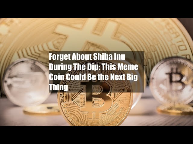 Forget About Shiba Inu During The Dip: This Meme Coin Could Be the