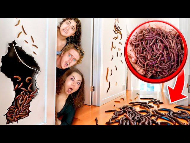 WE Found WORMS in our HOUSE!?