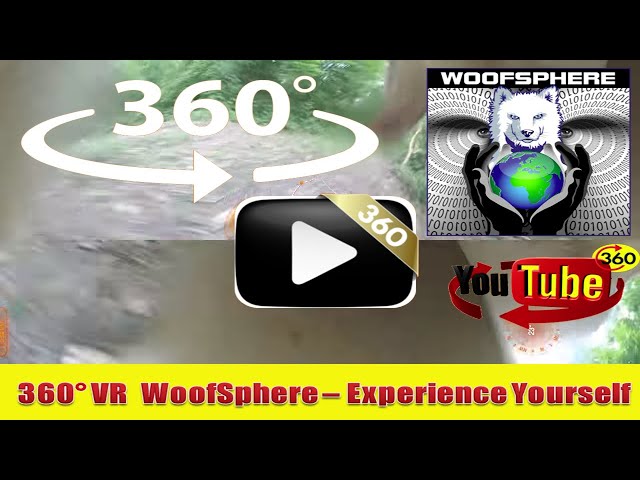 360 Videos | VR |  Chase Films FreeRanging 360º | Virtual Reality | WooFSphere