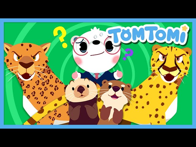 Similar but Different Animals⁉ | Guess who's who?🤔 | Animal Name Quiz | Kids Song | TOMTOMI