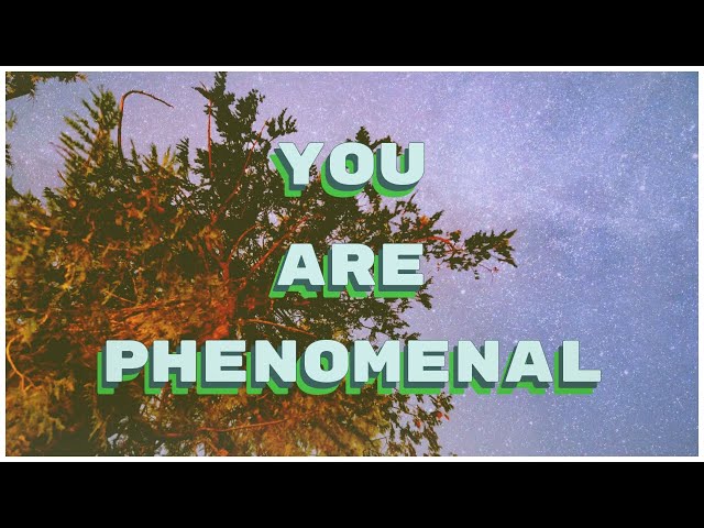 You Are Phenomenal
