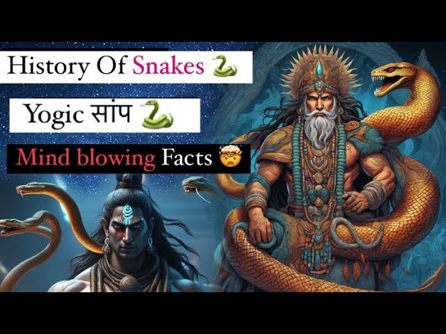 History of Snake || Indian God's and Snakes|| Most Intelligent animal !!