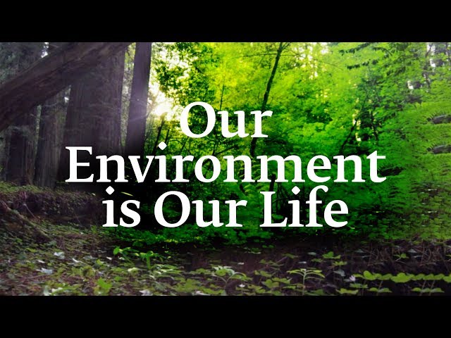 Our Environment is Our Life | Sadhguru