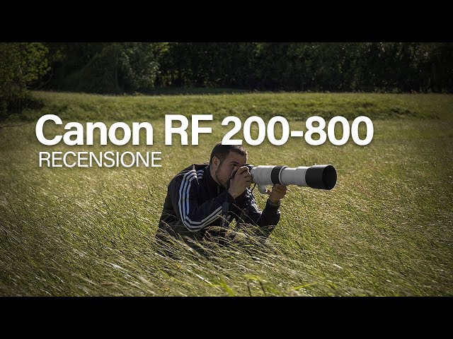 Canon 200-800mm f6.3-9 | Recensione completa con test