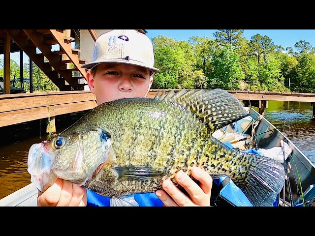 MONSTER CRAPPIE WERE HIDING UNDER THIS DOCK😳 CRAPPIE FISHING WITH A JIG 2024‼️