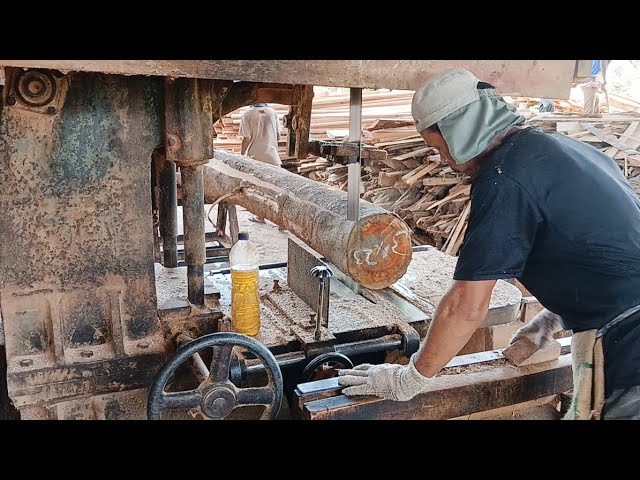 Amazing Sawmill Turns Bent Wood Into Straight Planks