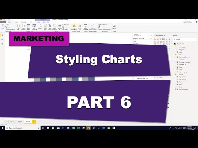 Power BI Course for Beginners (Part 6 Styling Charts)