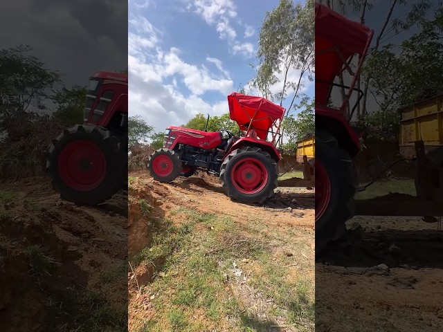 Mahindra and Massey ferguson tractors #shorts #trending #tractor