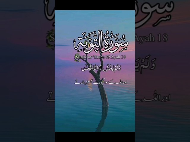 Beautiful Quran Verses translation😍😍#shorts #ytshorts#viral#art#youtube#youtubeshorts#diy#quran