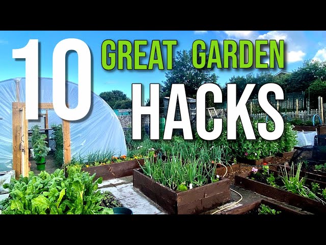 10 Gardening Tips, Ideas and Hacks That Actually Work. My 10 Tips, Ideas and Hacks Gardening in 2020