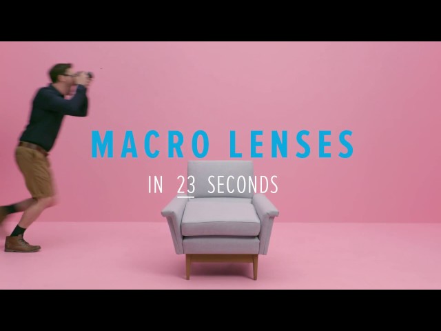 What is a Macro Lens? | Photography Basics Explained