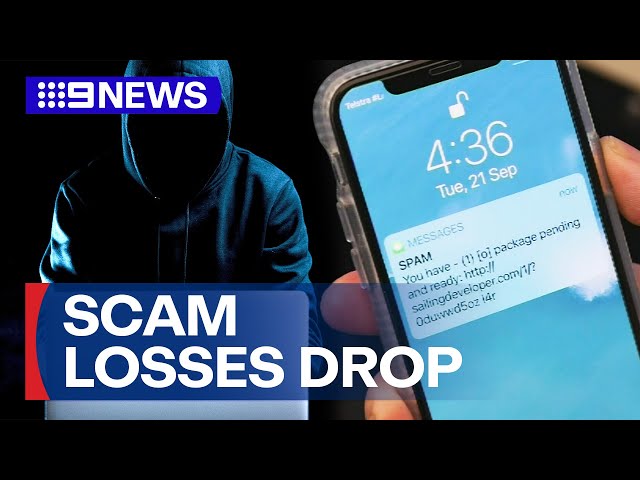 Rate of scam losses falling in Australia, according to new figures | 9 News Australia