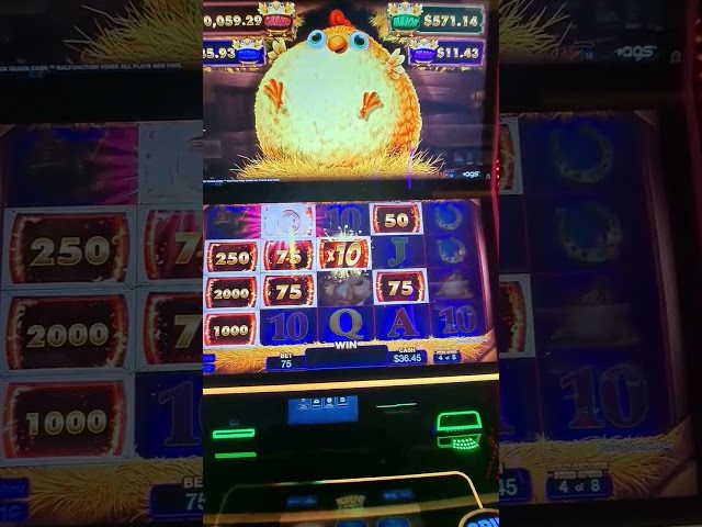 GIANT CHICKEN BONUS!! #casino #slots #bonus #lowbets #funtimes #hardrock #winnerwinnerchickendinner