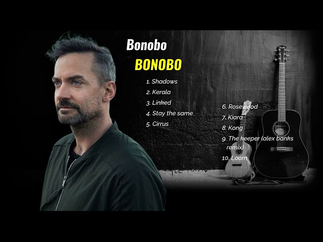 Bonobo-Good Vibes, Good Beats.-vibrant Electronic Beats