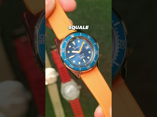 Affordable Watch Brands Part 6 - Squale