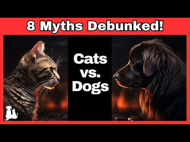 Are Cats Really Smarter Than Dogs? Surprising Answers Inside