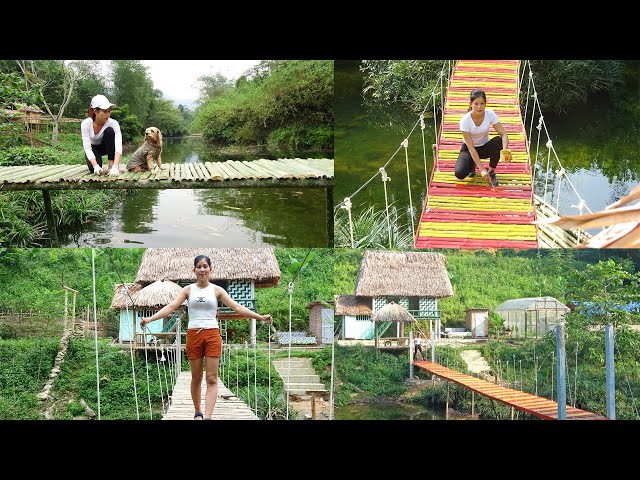 Full Video: The Process Building Bamboo Bridge and Replacing It With Cable Suspension Bridge