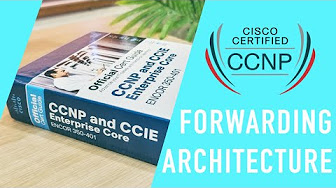 Cisco CCNP - ENCOR Forwarding